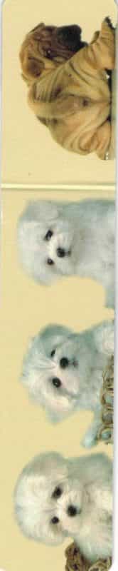 Bookmarker – DOG