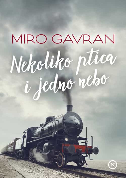 NEKOLIKO PTICA I JEDNO NEBO