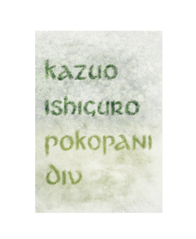 POKOPANI DIV