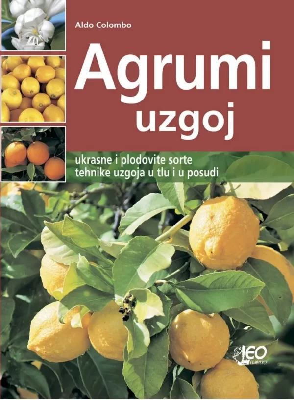 agrumi-uzgoj-knjiga
