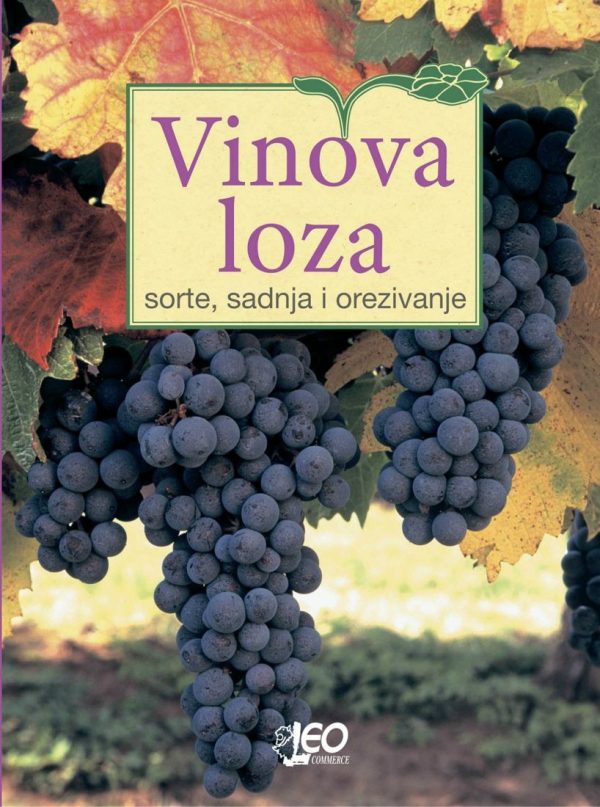 vinova-loza-sorte-sadnja-orezivanje-1