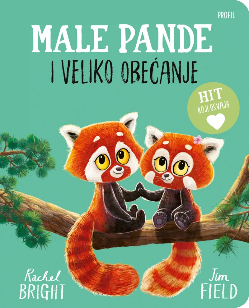Male pande i veliko obećanje (kartonska slikovnica)